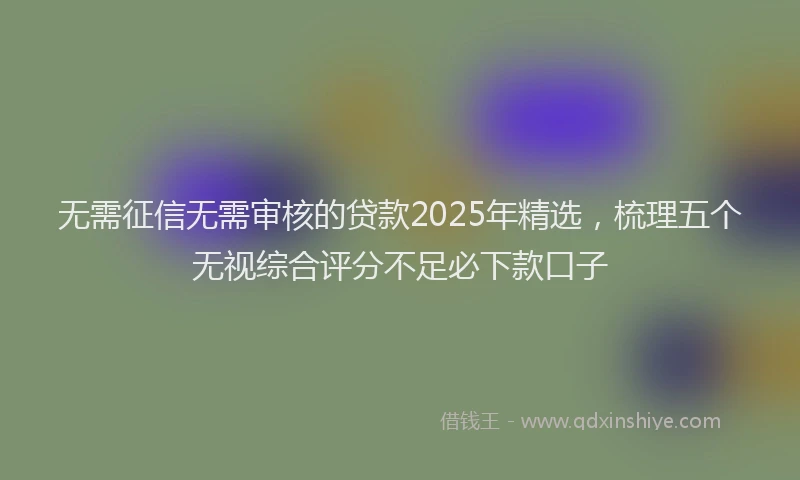 无需征信无需审核的贷款2025年精选，梳理五个无视综合评分不足必下款口子