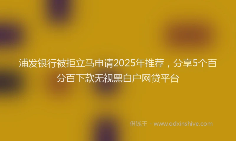 浦发银行被拒立马申请2025年推荐，分享5个百分百下款无视黑白户网贷平台