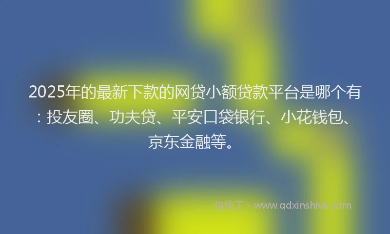 2025年的最新下款的网贷小额贷款平台是哪个有：投友圈、功夫贷、平安口袋银行、小花钱包、京东金融等。
