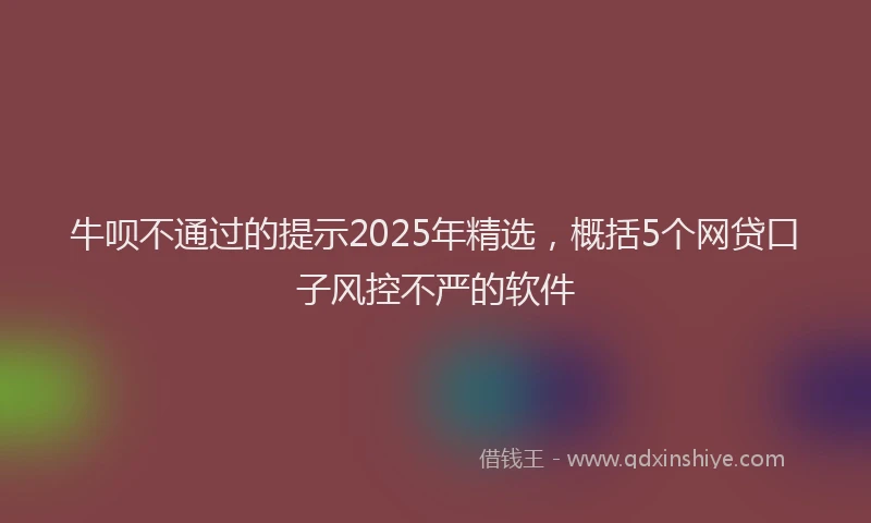 牛呗不通过的提示2025年精选，概括5个网贷口子风控不严的软件
