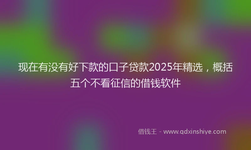 现在有没有好下款的口子贷款2025年精选，概括五个不看征信的借钱软件