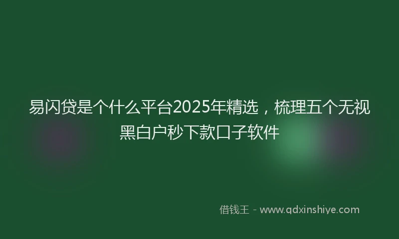 易闪贷是个什么平台2025年精选，梳理五个无视黑白户秒下款口子软件