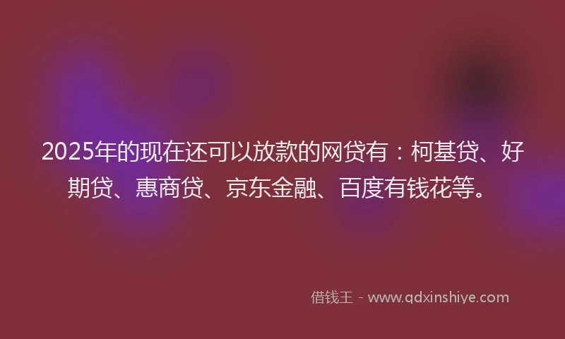 2025年的现在还可以放款的网贷有：柯基贷、好期贷、惠商贷、京东金融、百度有钱花等。