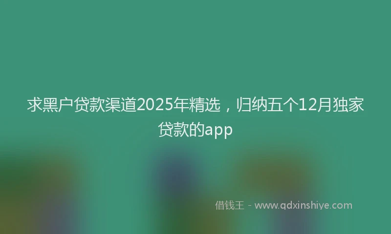 求黑户贷款渠道2025年精选，归纳五个12月独家贷款的app