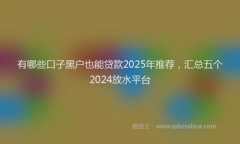 有哪些口子黑户也能贷款2025年推荐，汇总五个2024放水平台