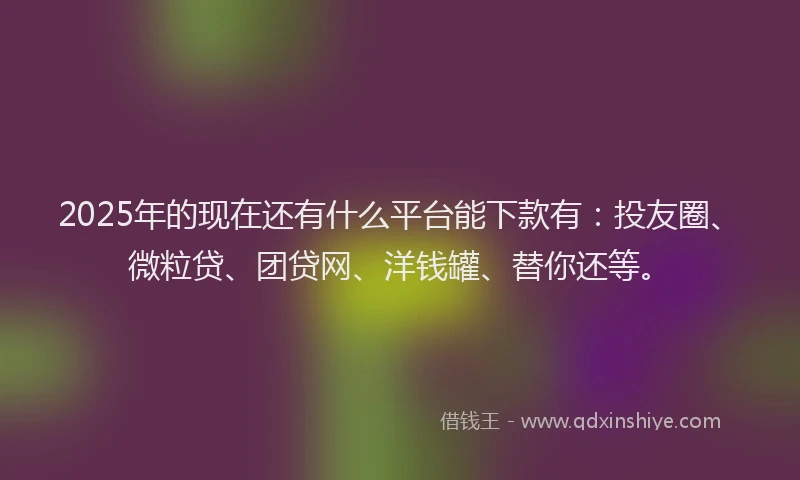 2025年的现在还有什么平台能下款有：投友圈、微粒贷、团贷网、洋钱罐、替你还等。