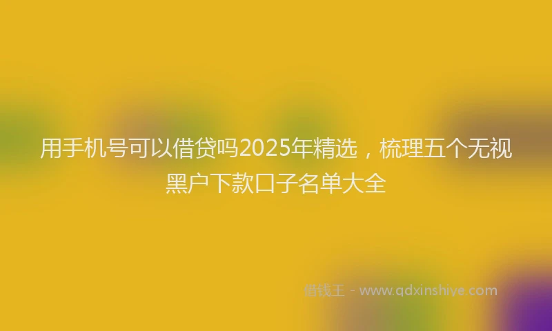 用手机号可以借贷吗2025年精选，梳理五个无视黑户下款口子名单大全