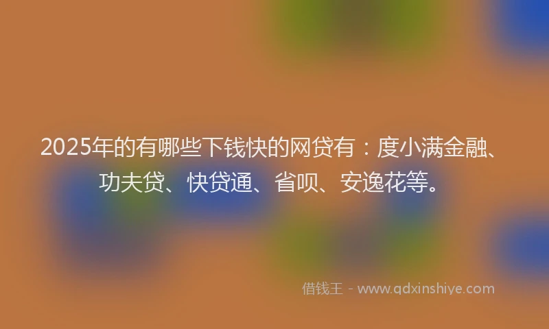 2025年的有哪些下钱快的网贷有：度小满金融、功夫贷、快贷通、省呗、安逸花等。