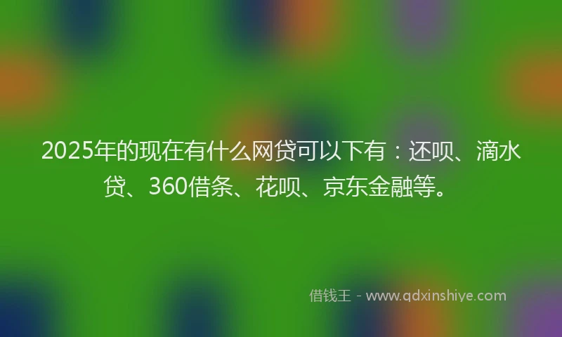 2025年的现在有什么网贷可以下有：还呗、滴水贷、360借条、花呗、京东金融等。
