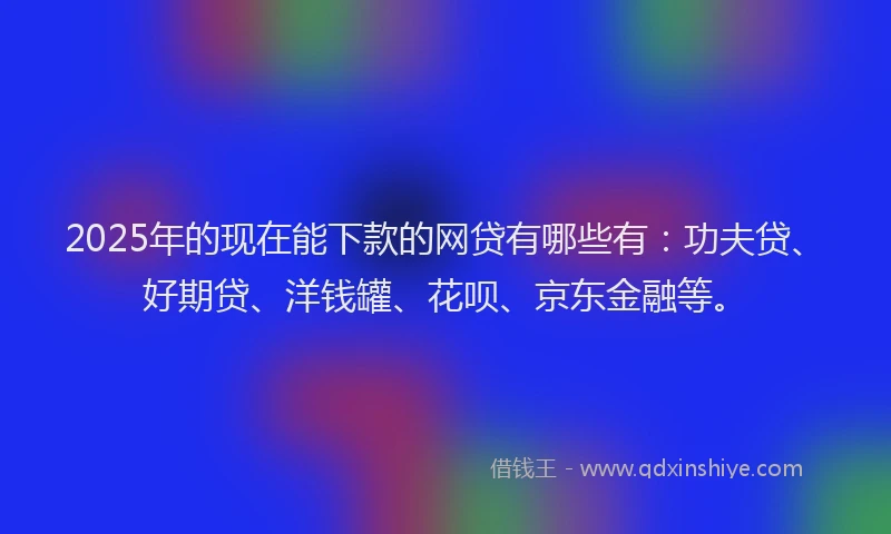 2025年的现在能下款的网贷有哪些有：功夫贷、好期贷、洋钱罐、花呗、京东金融等。