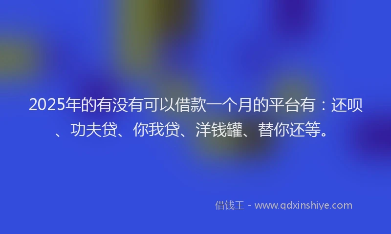 2025年的有没有可以借款一个月的平台有：还呗、功夫贷、你我贷、洋钱罐、替你还等。