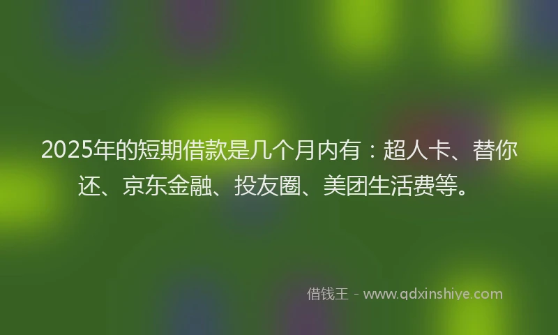 2025年的短期借款是几个月内有：超人卡、替你还、京东金融、投友圈、美团生活费等。