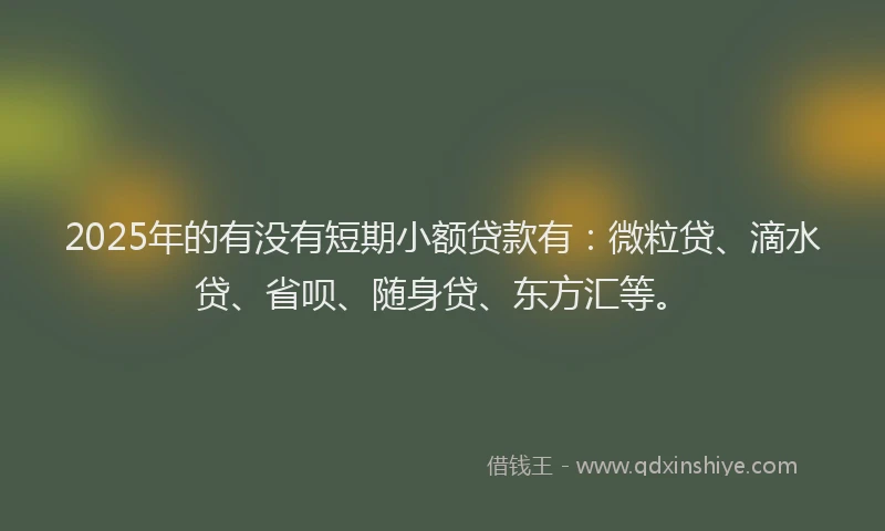 2025年的有没有短期小额贷款有：微粒贷、滴水贷、省呗、随身贷、东方汇等。