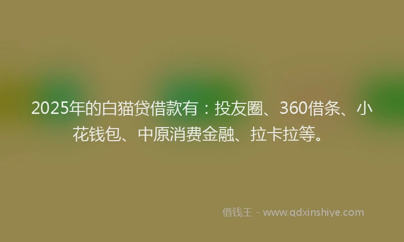 2025年的白猫贷借款有：投友圈、360借条、小花钱包、中原消费金融、拉卡拉等。