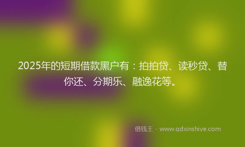 2025年的短期借款黑户有：拍拍贷、读秒贷、替你还、分期乐、融逸花等。