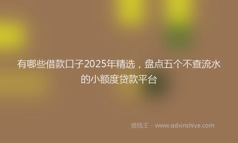 有哪些借款口子2025年精选，盘点五个不查流水的小额度贷款平台