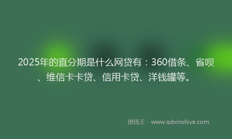 2025年的直分期是什么网贷有：360借条、省呗、维信卡卡贷、信用卡贷、洋钱罐等。