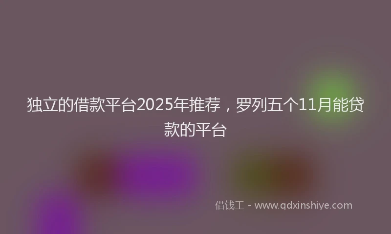 独立的借款平台2025年推荐，罗列五个11月能贷款的平台
