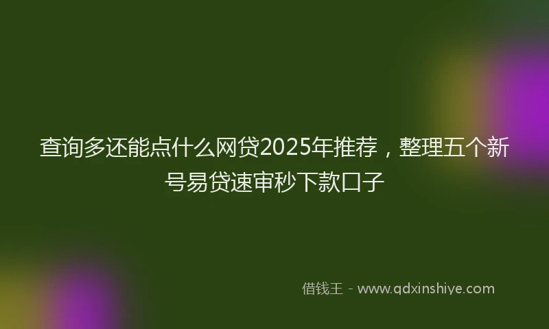 查询多还能点什么网贷2025年推荐，整理五个新号易贷速审秒下款口子