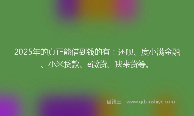 2025年的真正能借到钱的有：还呗、度小满金融、小米贷款、e微贷、我来贷等。