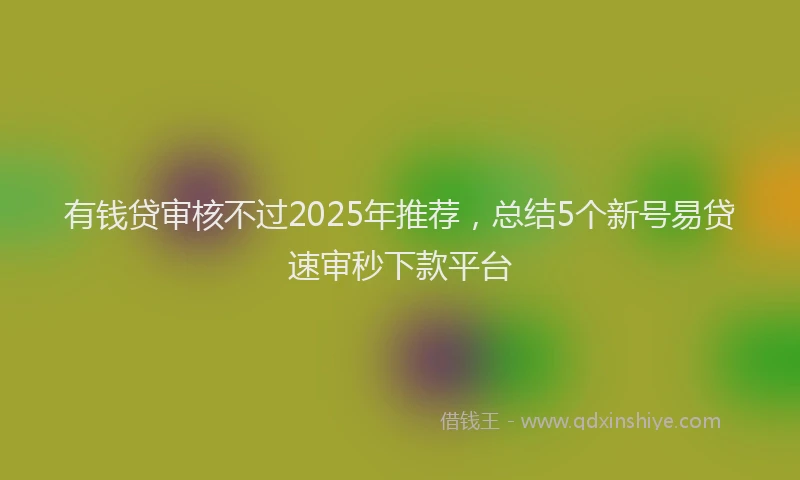 有钱贷审核不过2025年推荐，总结5个新号易贷速审秒下款平台
