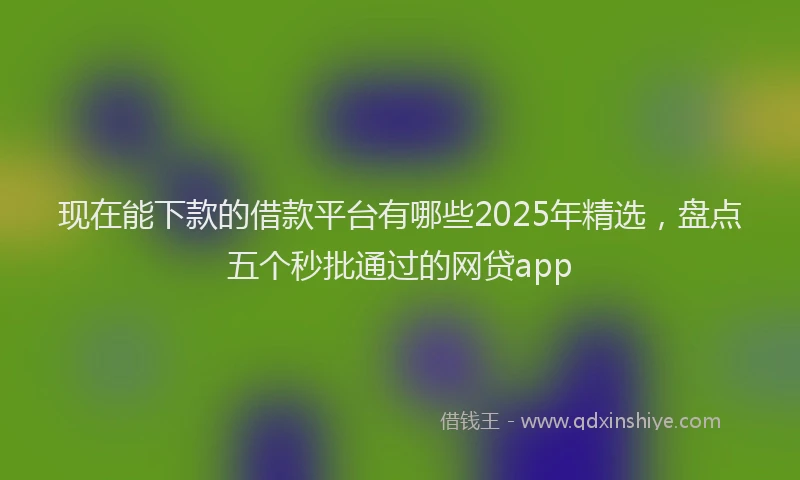 现在能下款的借款平台有哪些2025年精选，盘点五个秒批通过的网贷app