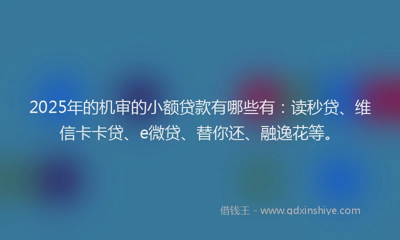 2025年的机审的小额贷款有哪些有：读秒贷、维信卡卡贷、e微贷、替你还、融逸花等。