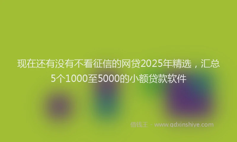 现在还有没有不看征信的网贷2025年精选，汇总5个1000至5000的小额贷款软件