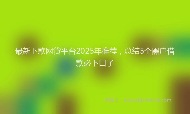 最新下款网贷平台2025年推荐，总结5个黑户借款必下口子