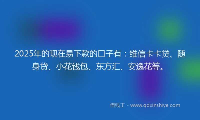 2025年的现在易下款的口子有：维信卡卡贷、随身贷、小花钱包、东方汇、安逸花等。