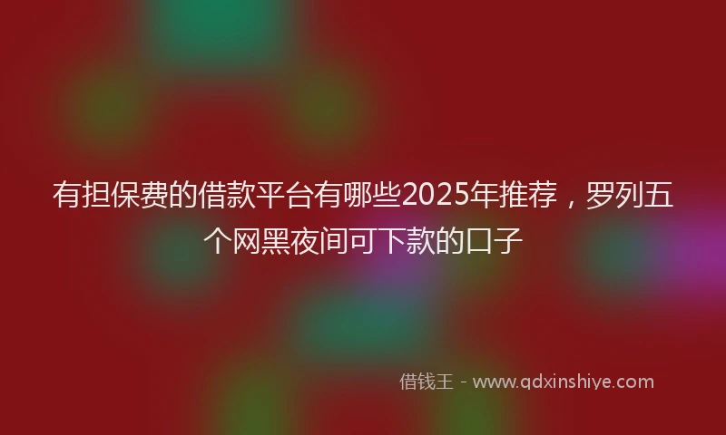 有担保费的借款平台有哪些2025年推荐，罗列五个网黑夜间可下款的口子