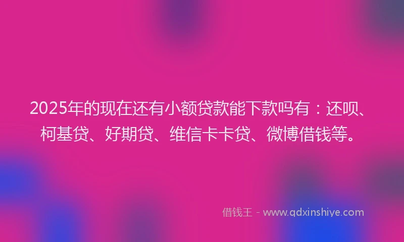 2025年的现在还有小额贷款能下款吗有：还呗、柯基贷、好期贷、维信卡卡贷、微博借钱等。
