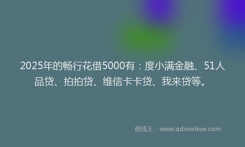2025年的畅行花借5000有：度小满金融、51人品贷、拍拍贷、维信卡卡贷、我来贷等。