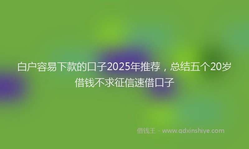 白户容易下款的口子2025年推荐，总结五个20岁借钱不求征信速借口子
