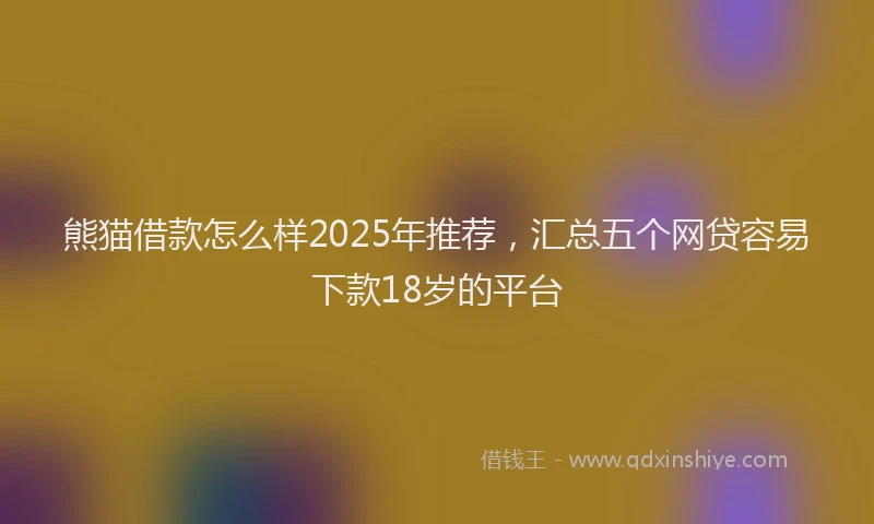 熊猫借款怎么样2025年推荐，汇总五个网贷容易下款18岁的平台