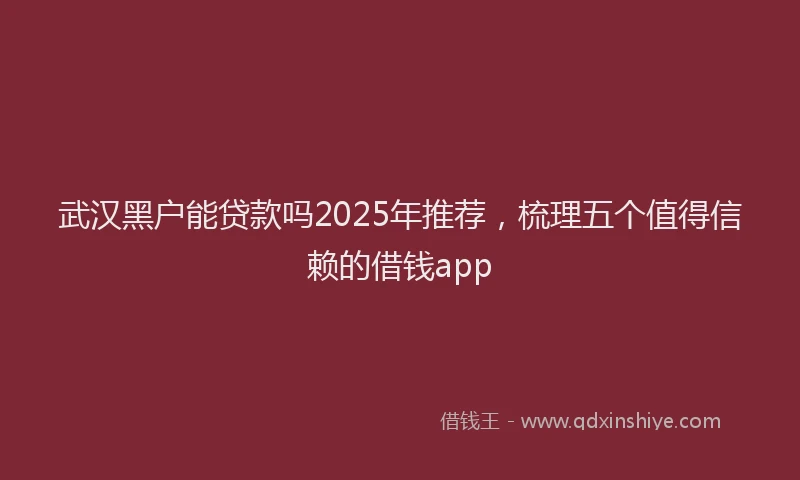 武汉黑户能贷款吗2025年推荐，梳理五个值得信赖的借钱app