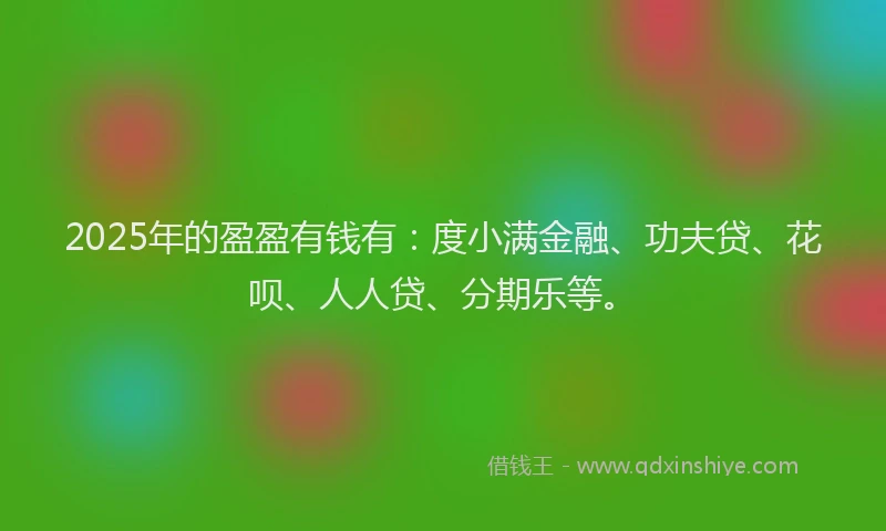 2025年的盈盈有钱有：度小满金融、功夫贷、花呗、人人贷、分期乐等。