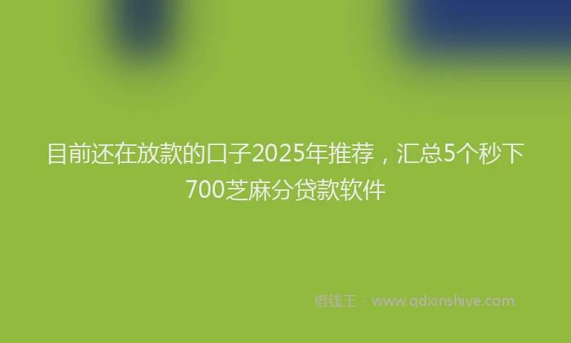 目前还在放款的口子2025年推荐，汇总5个秒下700芝麻分贷款软件