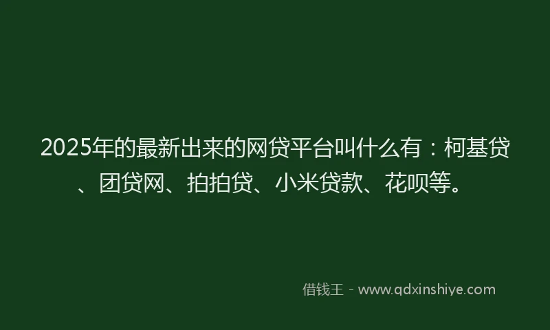 2025年的最新出来的网贷平台叫什么有：柯基贷、团贷网、拍拍贷、小米贷款、花呗等。