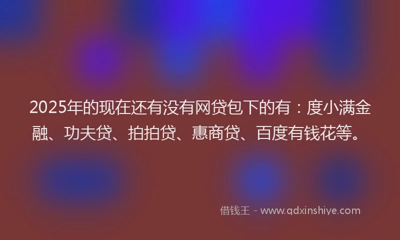 2025年的现在还有没有网贷包下的有：度小满金融、功夫贷、拍拍贷、惠商贷、百度有钱花等。