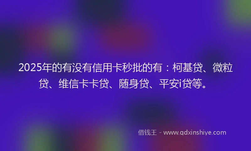 2025年的有没有信用卡秒批的有：柯基贷、微粒贷、维信卡卡贷、随身贷、平安i贷等。