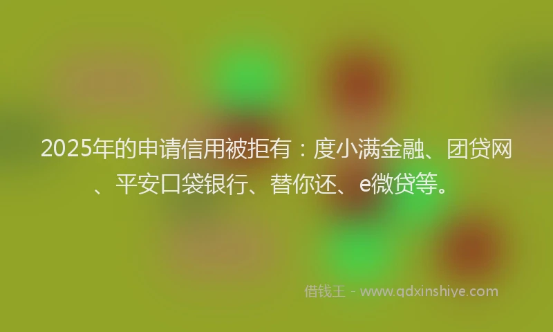 2025年的申请信用被拒有：度小满金融、团贷网、平安口袋银行、替你还、e微贷等。