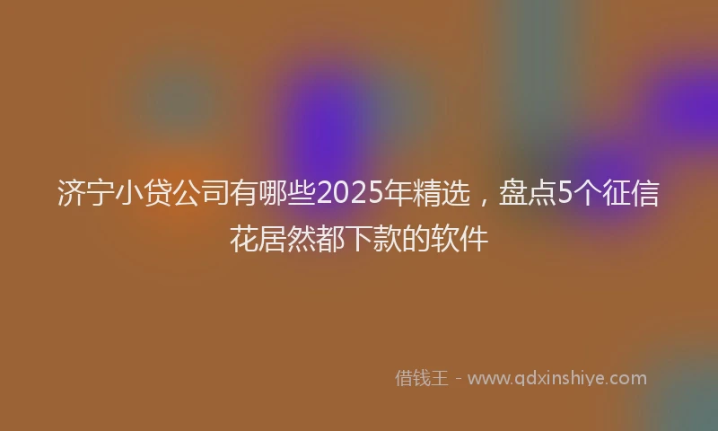 济宁小贷公司有哪些2025年精选，盘点5个征信花居然都下款的软件