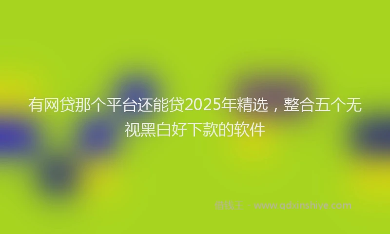 有网贷那个平台还能贷2025年精选，整合五个无视黑白好下款的软件