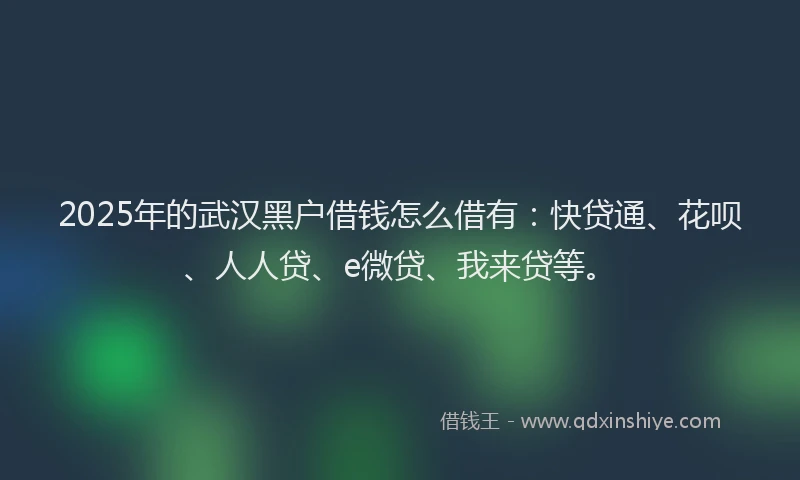 2025年的武汉黑户借钱怎么借有：快贷通、花呗、人人贷、e微贷、我来贷等。