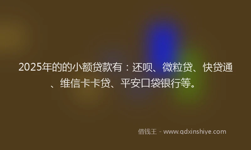 2025年的的小额贷款有：还呗、微粒贷、快贷通、维信卡卡贷、平安口袋银行等。