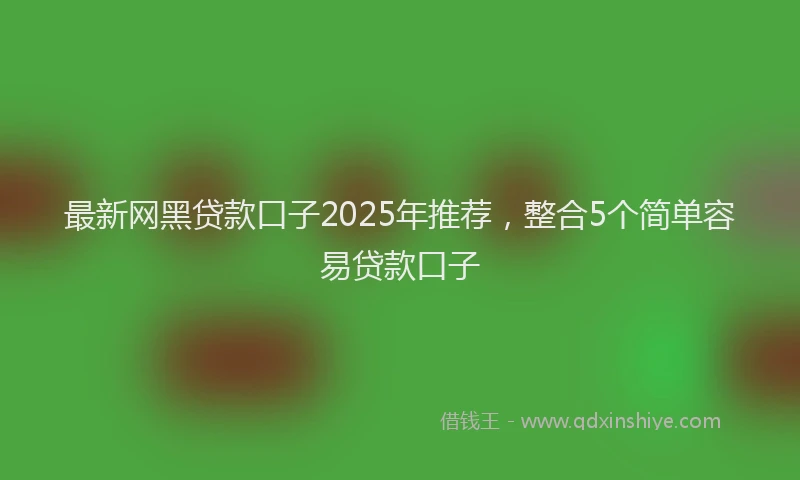 最新网黑贷款口子2025年推荐，整合5个简单容易贷款口子