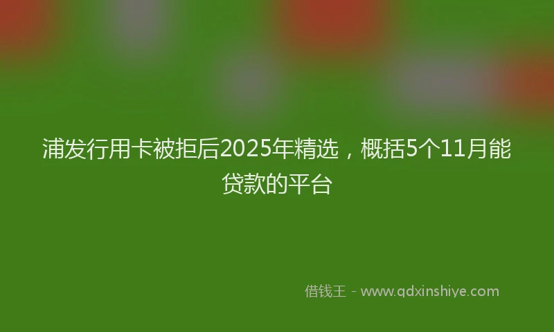 浦发行用卡被拒后2025年精选，概括5个11月能贷款的平台