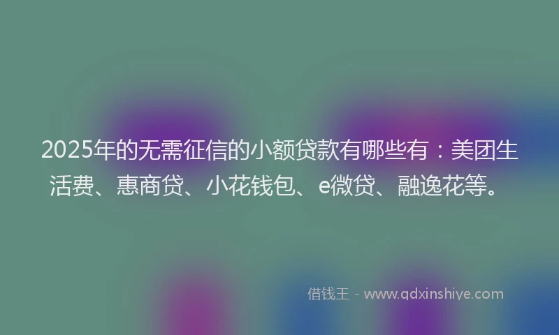 2025年的无需征信的小额贷款有哪些有：美团生活费、惠商贷、小花钱包、e微贷、融逸花等。