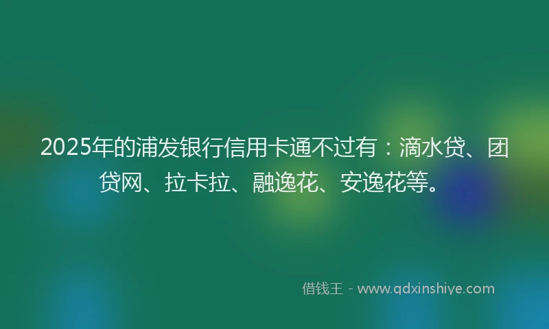 2025年的浦发银行信用卡通不过有：滴水贷、团贷网、拉卡拉、融逸花、安逸花等。